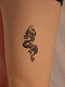11_thumb.gif