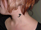 12_thumb.gif