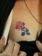 14_thumb.gif