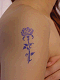 1_thumb.gif