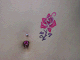 26_thumb.gif