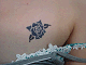 7_thumb.gif